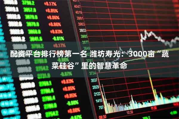 配资平台排行榜第一名 潍坊寿光：3000亩“蔬菜硅谷”里的智慧革命
