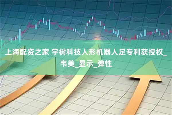 上海配资之家 宇树科技人形机器人足专利获授权_韦美_显示_弹性